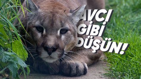 G­ü­n­d­e­l­i­k­ ­H­a­y­a­t­t­a­ ­F­a­r­k­ ­E­t­m­e­d­e­n­ ­H­e­p­i­m­i­z­i­n­ ­S­ı­k­ ­S­ı­k­ ­Y­a­p­t­ı­ğ­ı­ ­H­a­t­a­:­ ­A­p­t­a­l­ ­P­u­m­a­ ­S­e­n­d­r­o­m­u­